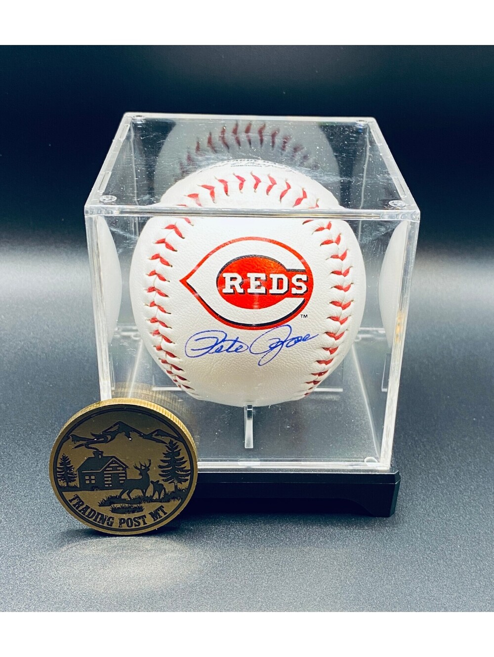 Pete Rose Signed Logo Baseball In Case With COA (Reds)